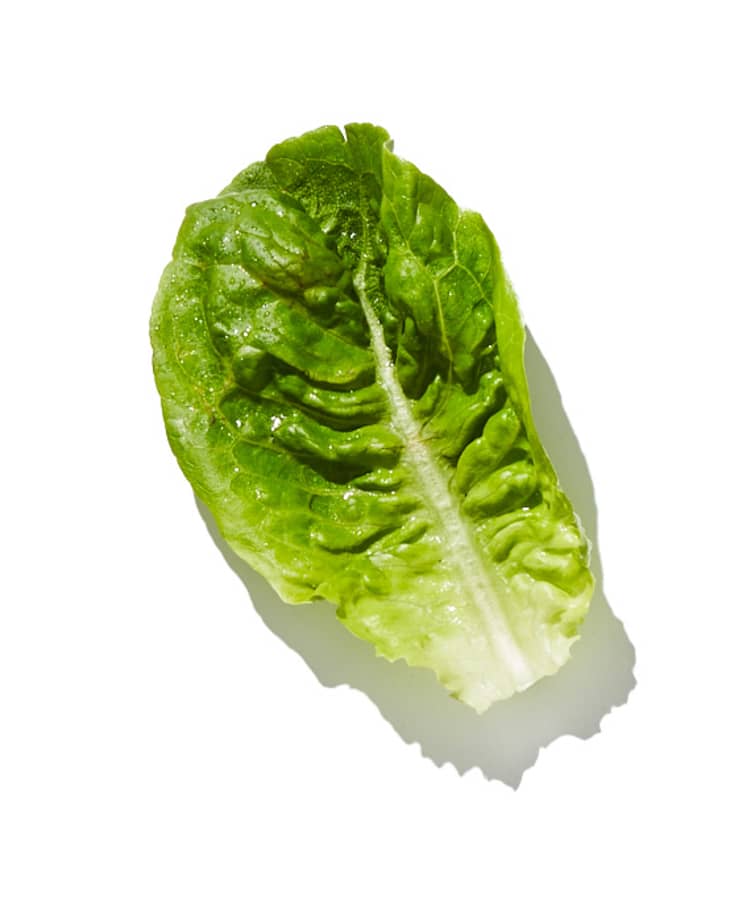 Types of Lettuce A Visual Guide to Salad Greens The Kitchn